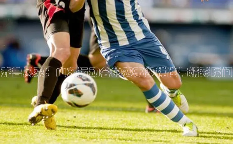 欧陆登录网址一径科技