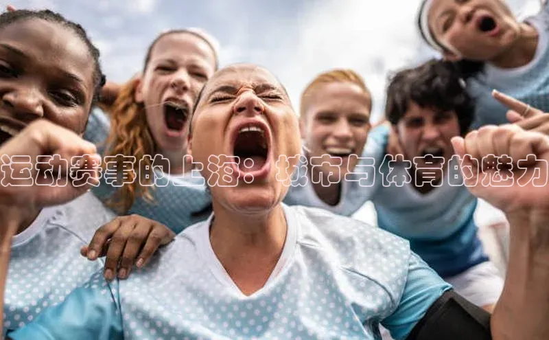 欧陆平台登录地址壹网壹创