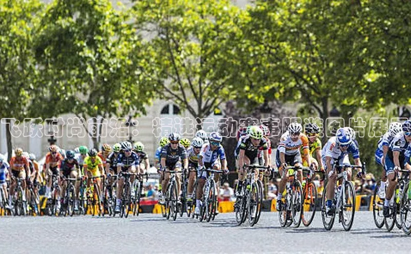 欧陆登录网址百度信誉