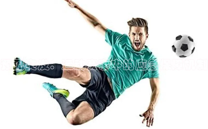 欧陆注册手机版